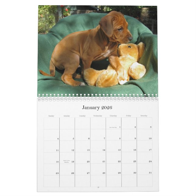 Calendário Filhotes de cachorro 2012 de Rhodesian Ridgeback (Jan 2026)