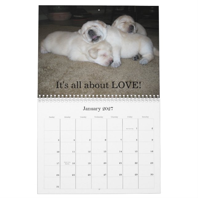 Calendário Filhotes de cachorro do laboratório! (Jan 2027)