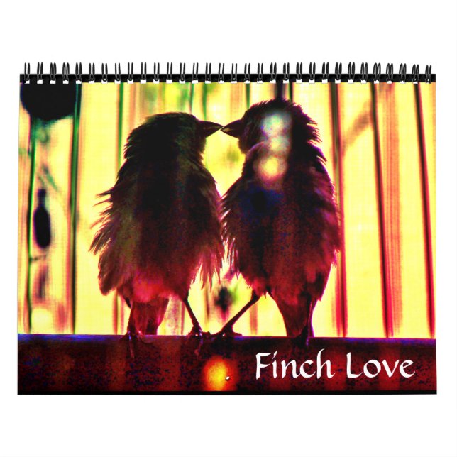 Calendário Finch Love (Capa)