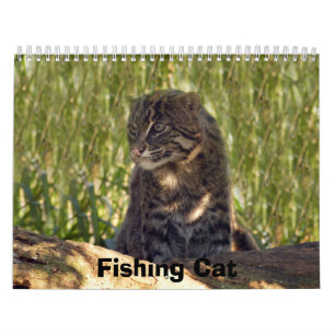 Calendário FishingCat008, pescando o gato