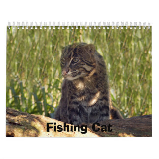 Calendário FishingCat008, pescando o gato