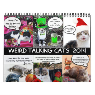 CALENDÁRIO FITAS DE GÊNERO FUNNY PROVENIENTES DE GATOS DE CON