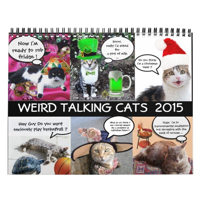 CALENDÁRIO FITAS DE GÊNERO FUNNY PROVENIENTES DE GATOS DE CON (Capa)