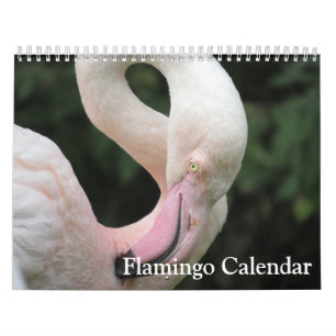Calendário Flamingo 2025