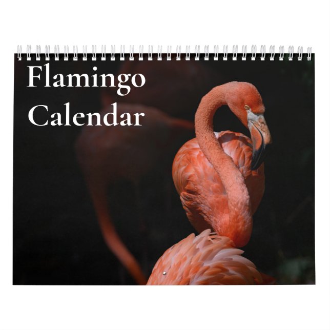 Calendário Flamingo 2025 (Capa)