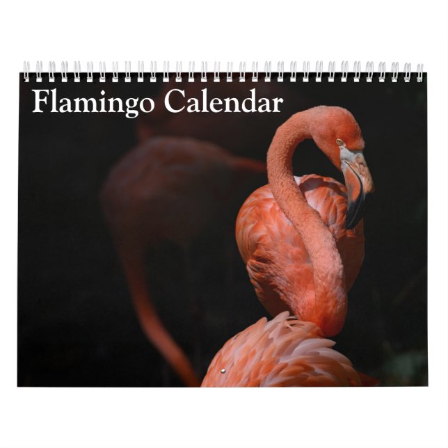 Calendário Flamingo 2025 (Capa)