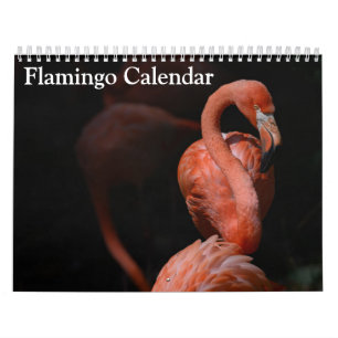 Calendário Flamingo 2025