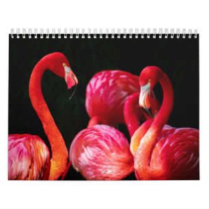 Calendário Flamingo Rosa Tropical Moderno