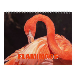 Calendário Flamingos