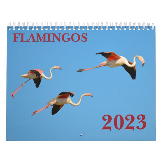 Calendário Flamingos (Capa)