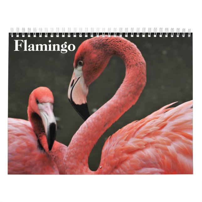 Calendário Flamingos 2025 (Capa)