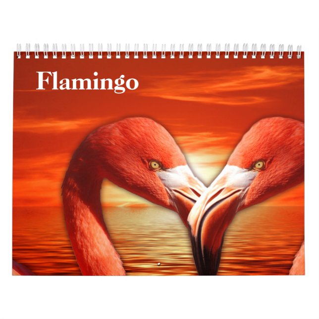 Calendário Flamingos 2025 (Capa)