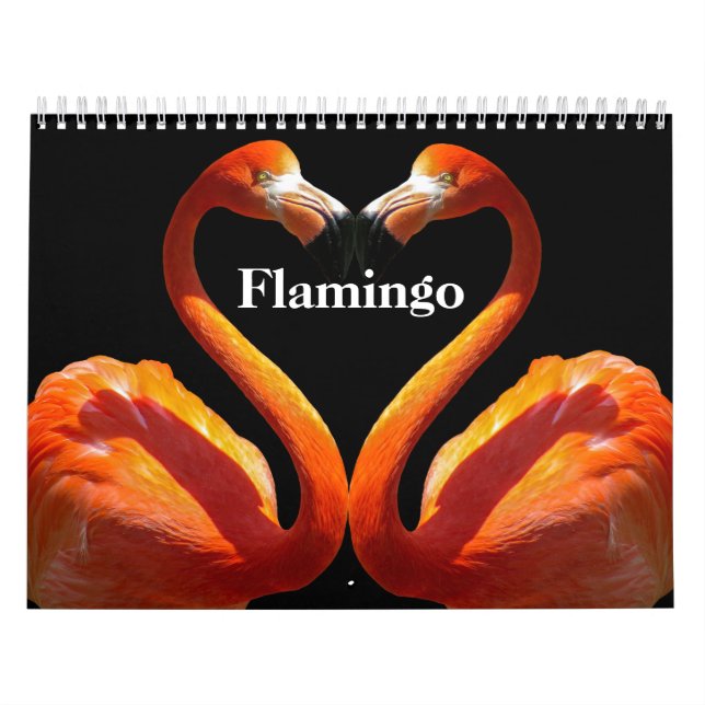 Calendário Flamingos 2025 (Capa)