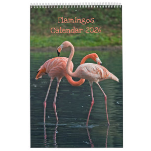 Calendário Flamingos 2025