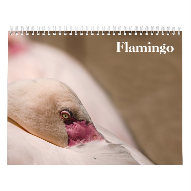 Calendário Flamingos 2025 (Capa)