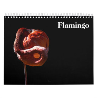 Calendário Flamingos 2027