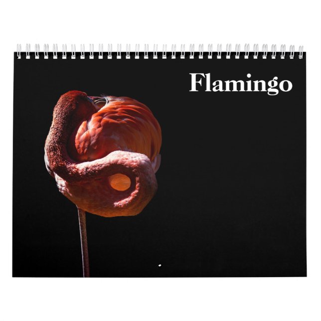 Calendário Flamingos 2027 (Capa)
