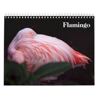 Calendário Flamingos 2027