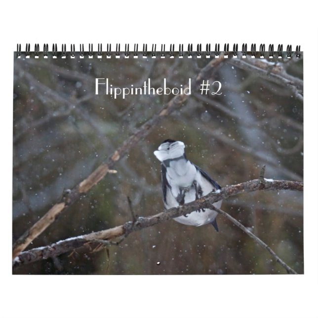 Calendário Flippintheboid nº 2 (Capa)