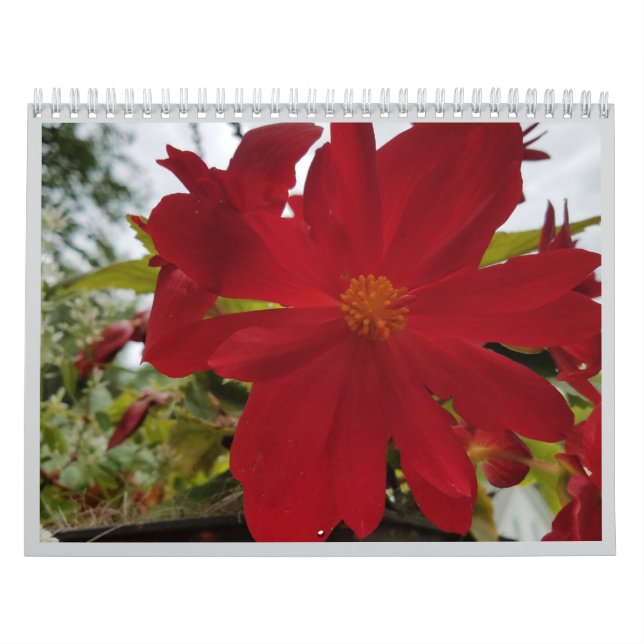 Calendário Flor Are It 2026 (Capa)