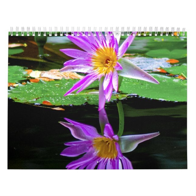 Calendário Flor Calander (Capa)