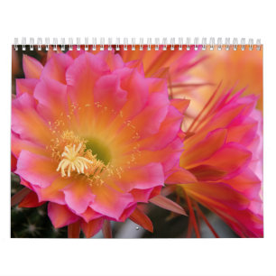 Calendário Flor de Cactus