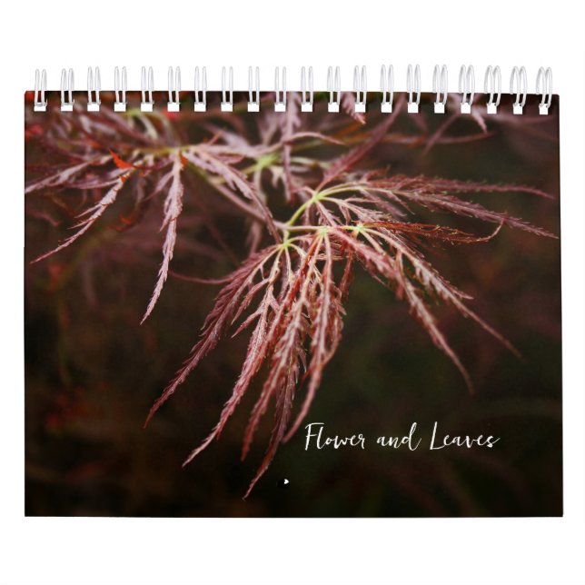 Calendário Flor e Folga (Capa)