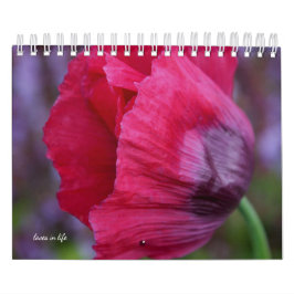 Calendário Flor Poppy