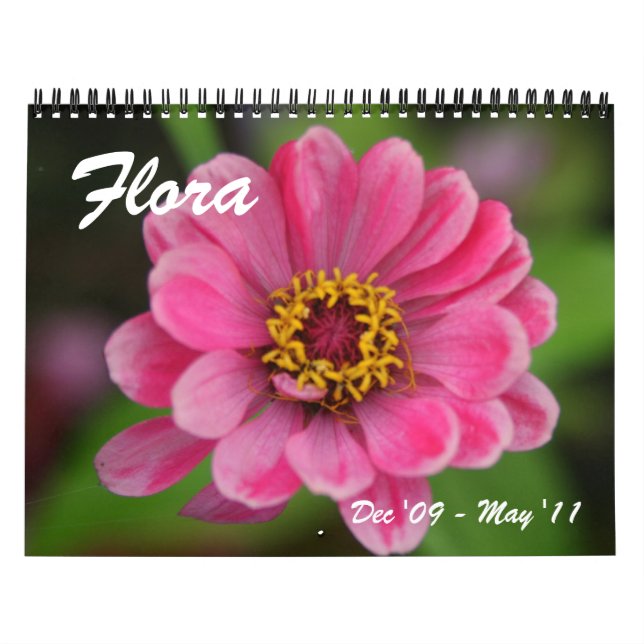 Calendário flora: 18 meses (Capa)