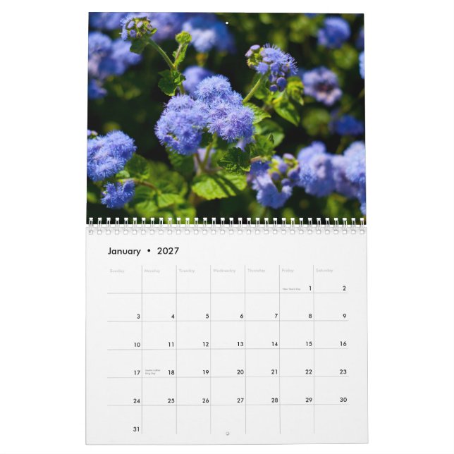 Calendário Flora 2011 (Jan 2027)