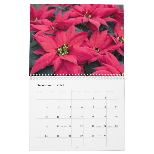 Calendário Floral (Dez 2027)