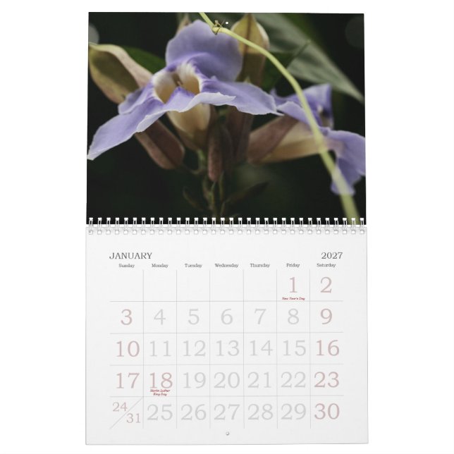 Calendário floral (Jan 2027)