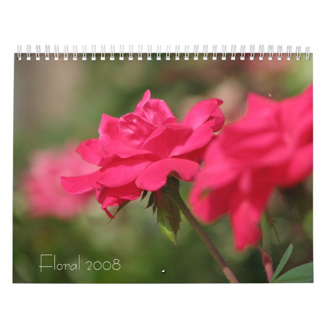 Calendário Floral 2008 (Capa)