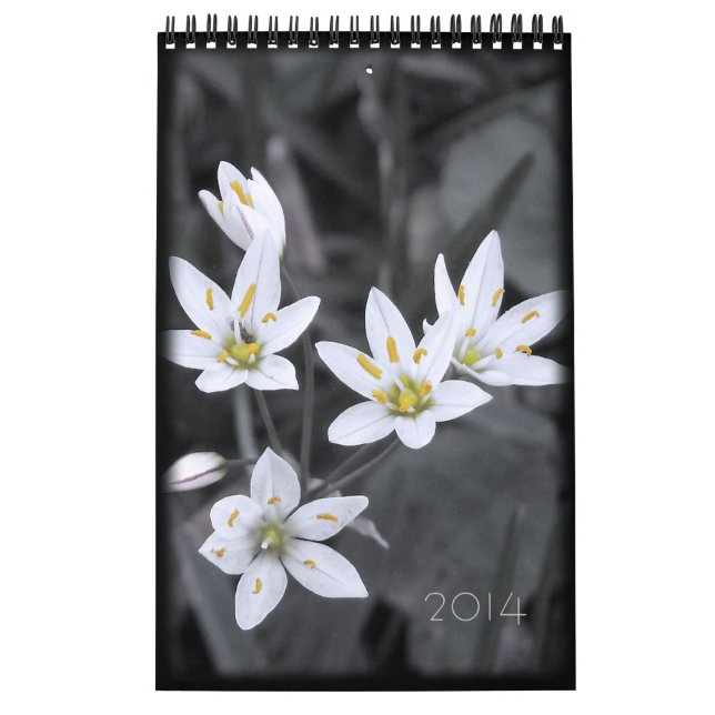 Calendário Floral 2014 12 meses de solteiro (Capa)