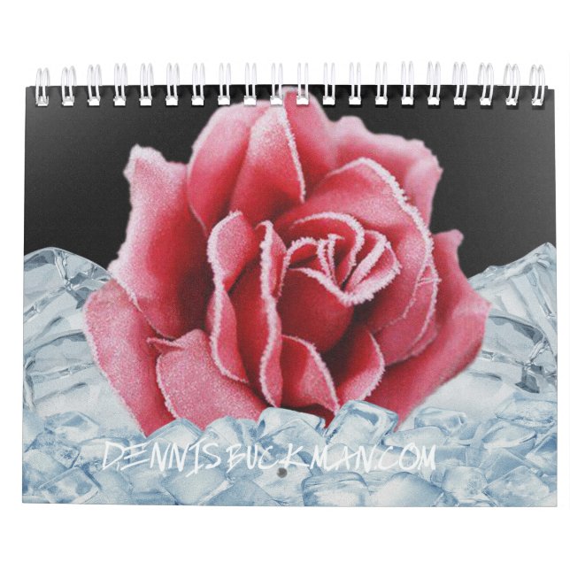 Calendário floral artístico (Verso)