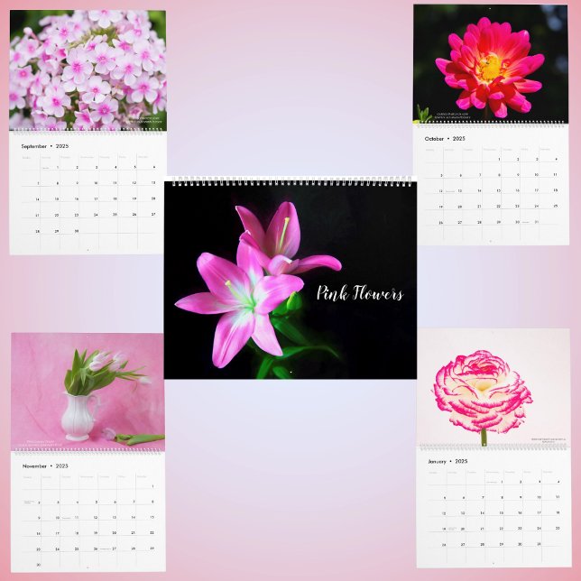 Calendário Floral de Flores Delicadas Rosa (Criador carregado)