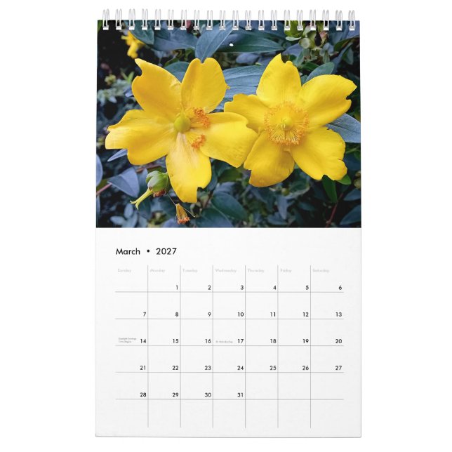 Calendário Floral England (Mar 2027)