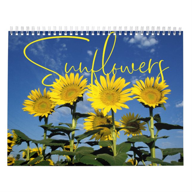 Calendário Floral Sunny Sunflower (Capa)