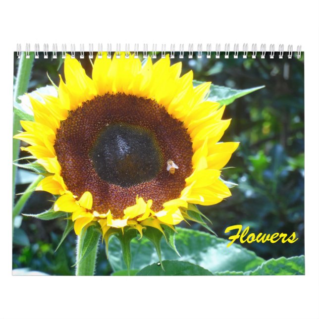 Calendário Flores (Capa)