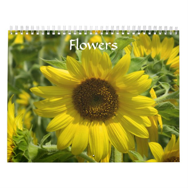 Calendário Flores (Capa)