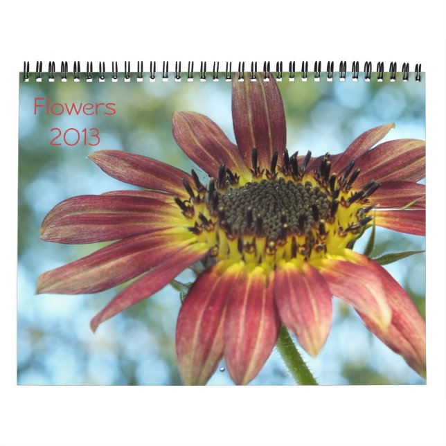 Calendário Flores 2013 Calender (Capa)