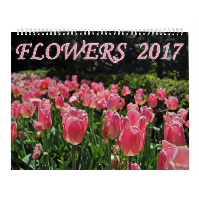 Calendário Flores 2017 (Capa)