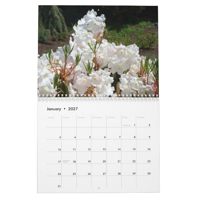 CALENDÁRIO FLORES BRANCAS ANJO Flores Brancas (Jan 2027)