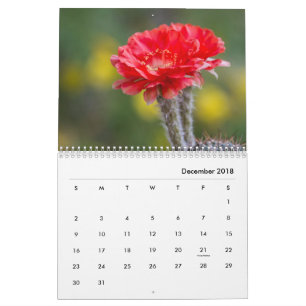 Calendário Flores Cactus