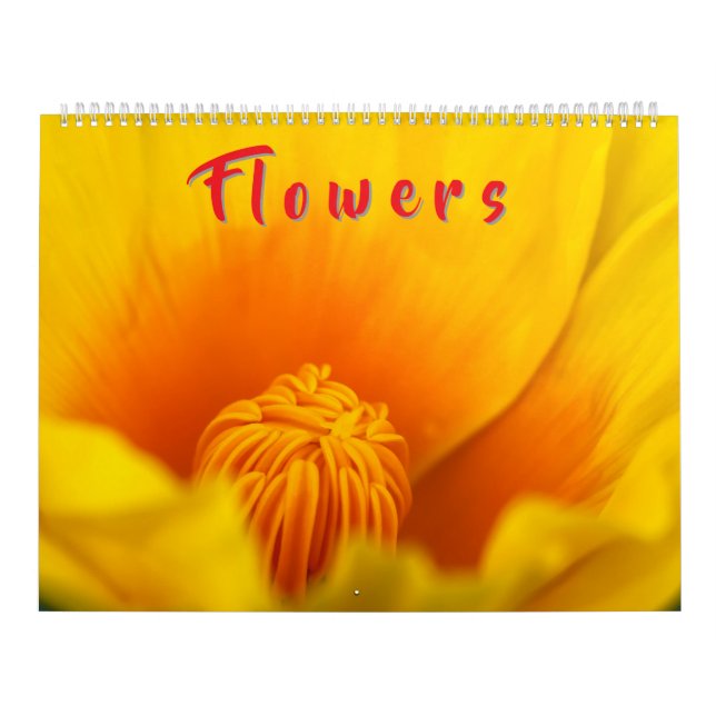 Calendário Flores Coloridas  (Capa)