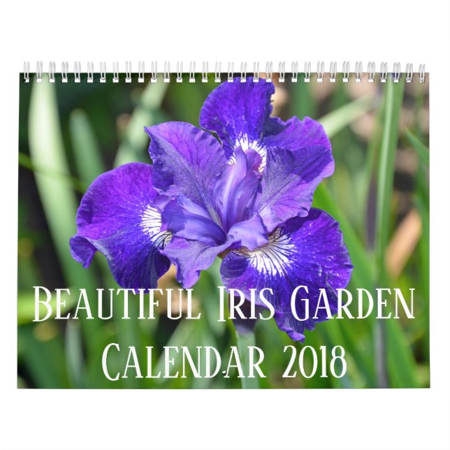 Calendário Flores coloridas da íris (Capa)
