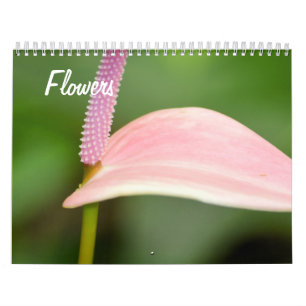 Calendário Flores de Beleza Natural