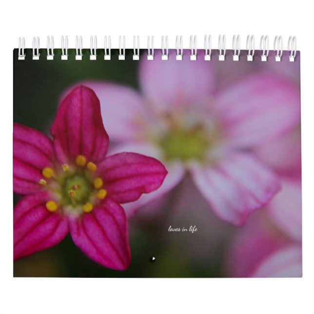 Calendário Flores de Jardim Rosa (Capa)