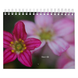 Calendário Flores de Jardim Rosa