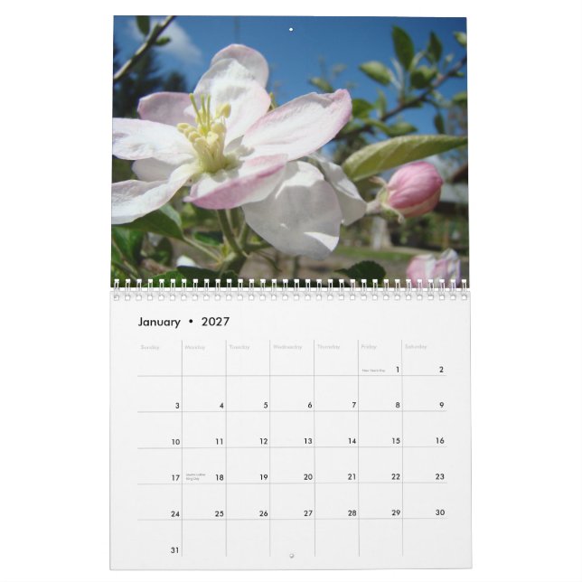 CALENDÁRIO FLORES DE MAÇÃ Calendário Arte da Prima (Jan 2027)